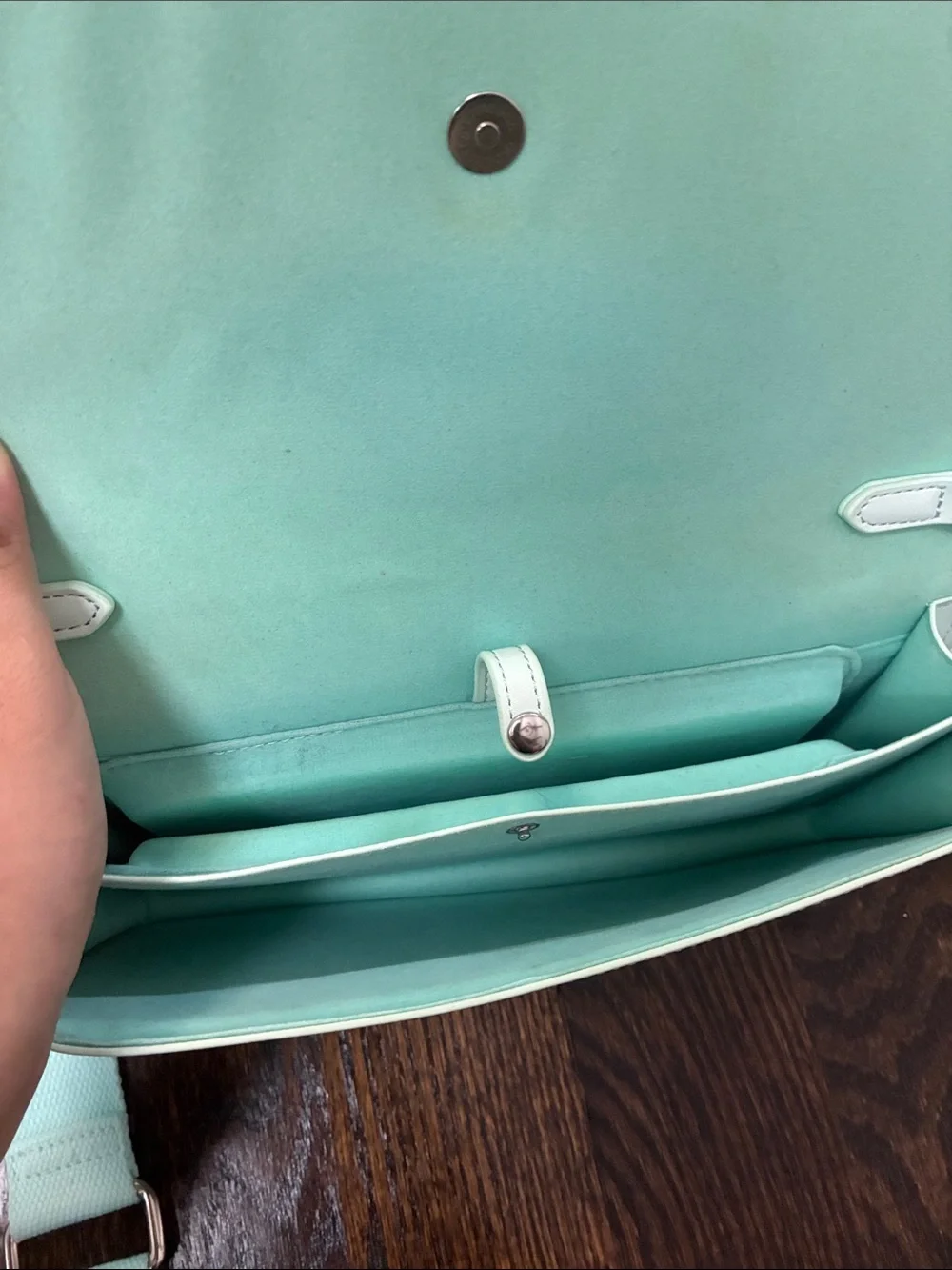 Animal Crossing Cross Body Bag/Purse
